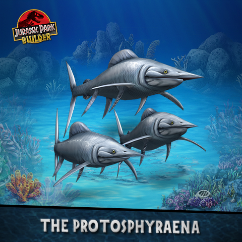 File:Protosphyraena.png