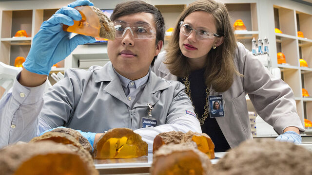 File:Woman-man-studying-amber.jpg