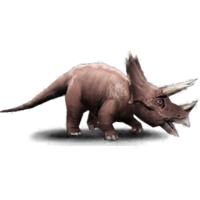 Triceratops