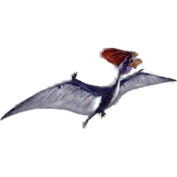 Tapejara