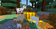 Goat family 2