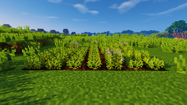 File:JC screenshot - Ajuginucula.png