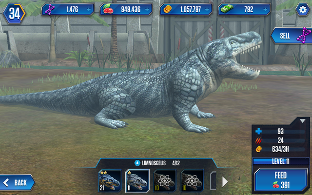 File:Limnoscelis2.png