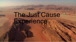 Experience