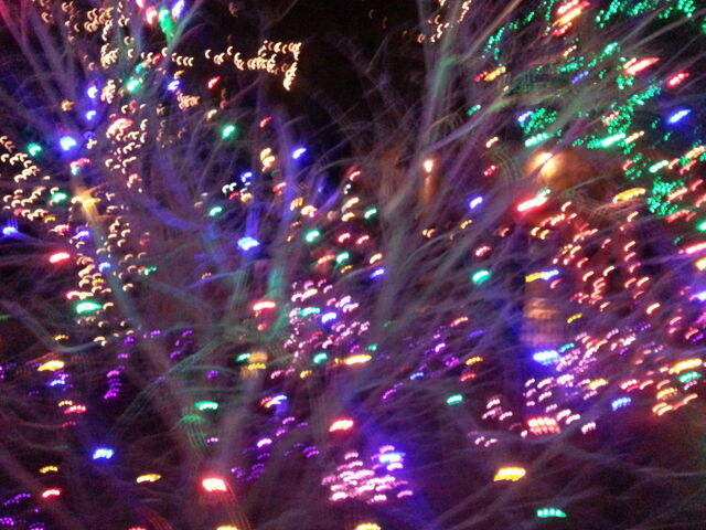 File:20141219 180611.jpg
