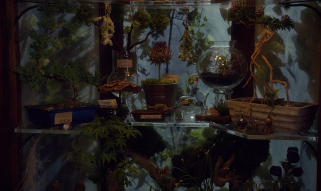 File:Earth-spices.png