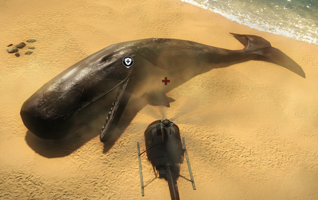 File:Dead whale.png