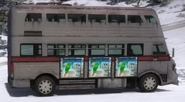 Dinggong 268D Chameleon