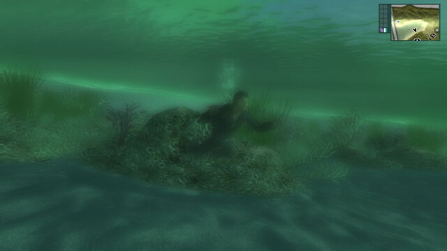 File:Swimming (San Esperito).jpg