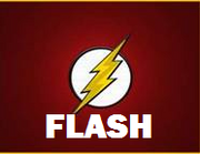 Flash Logo