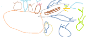 Haer
