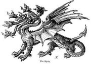 Hydra