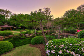 Brisbane Botanical Gardens 03 by cabaran