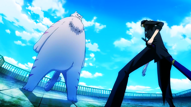 File:Dog vs Cat.png