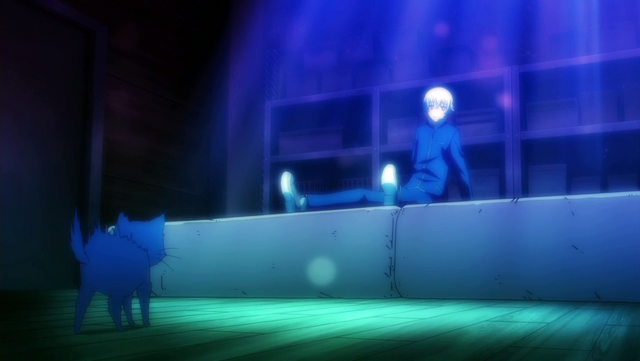 File:YashiroMeetsNeko.png