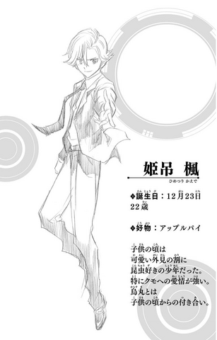 File:Kaede Character Profile.png