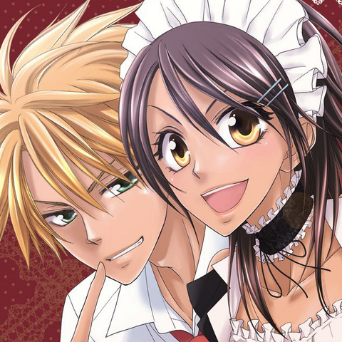 Plik:DVD.png