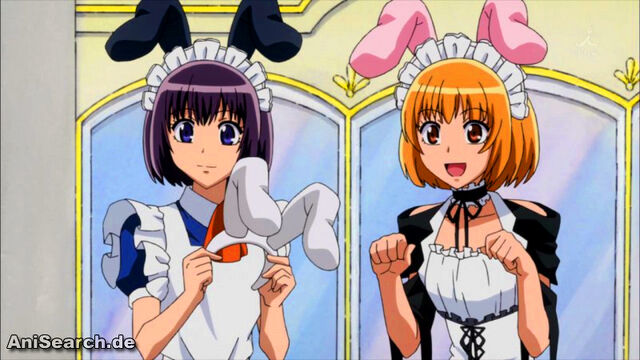 File:Bunny Satsuki and Honoka.jpg