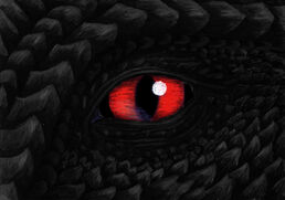 Echorun dragon-eye coor correction