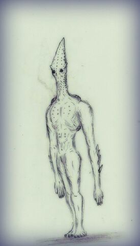 File:Rakkan by quinn red-d5w063y.jpg