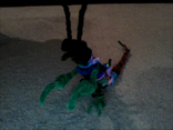 Insectra