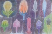 20170613 142105-1.jpg