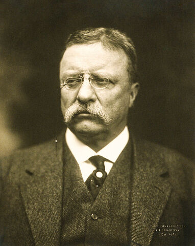 Fil:T Roosevelt.jpg