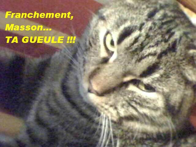 Fichier:TGM2.jpg