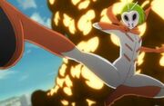 Bleach Rider