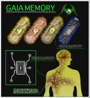 Museum GaiaMemory Emblem