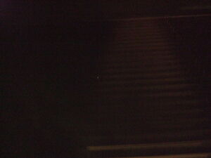 DSCF3776