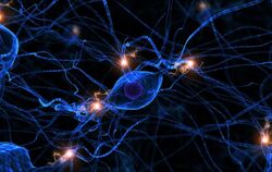 Neuron-synapse-brain-cells 0