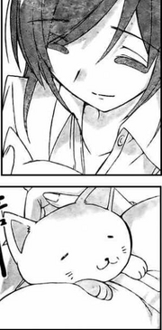 Kusunoki Happy