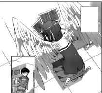 Shiori's wing