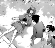 TWGOK116 19 RHS