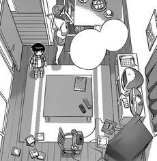 The living room
