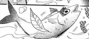 Aotake-Pez.png