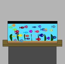 Fish Tank project JB
