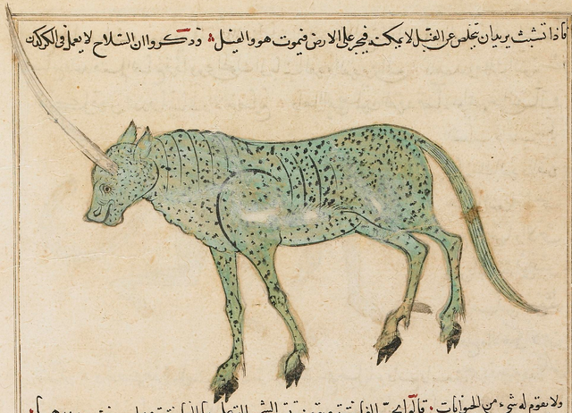 File:Al-Qazwini Karkadann Sarre manuscript.png
