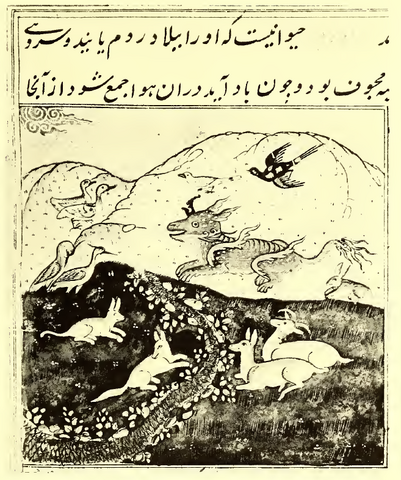 File:Shadhavar Princeton University manuscript.png