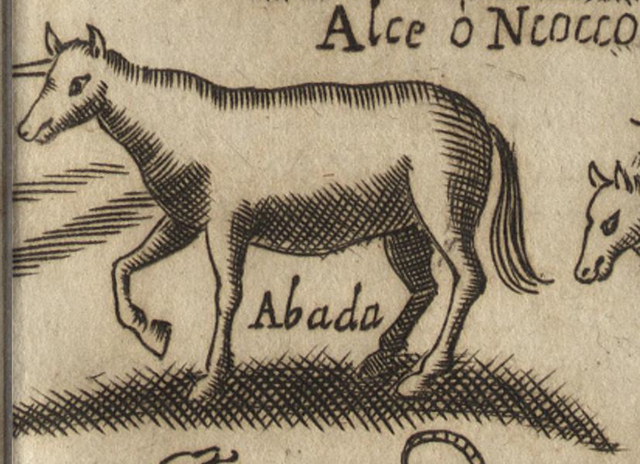 File:Girolamo Merolla abada.png