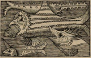 Olaus Magnus Xiphia Monoceros & Serra
