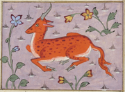 Al-Qazwini Cambridge manuscript Sadah var