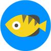 Archerfish