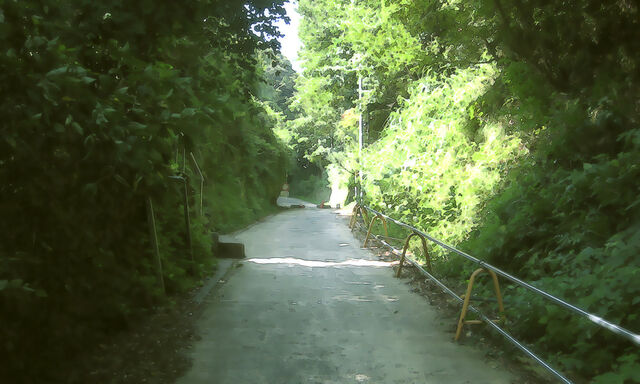 Файл:Hok road.jpg
