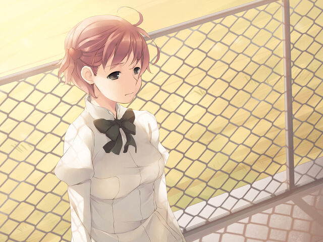 File:Misha roof sad.jpg