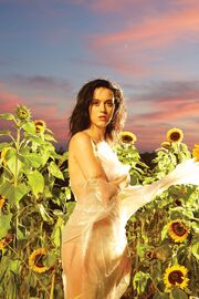 Katy Perry PRISM.jpg