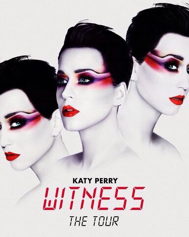 File:WitnessTour3.jpg