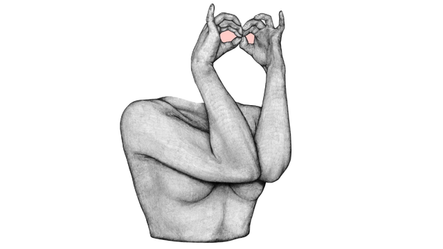 File:IMG 6031.png