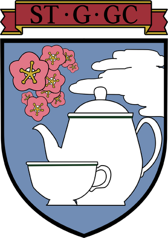 File:57661413 p0.png